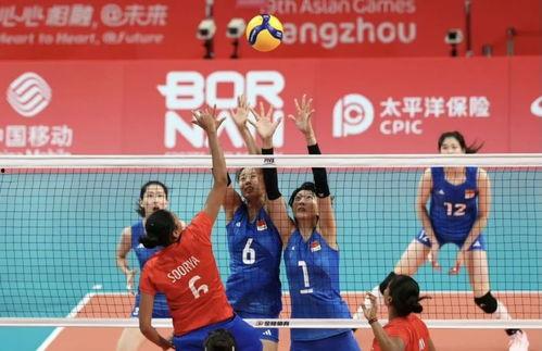 中国排球爆料最新消息新闻,揭秘赛场幕后热点事件