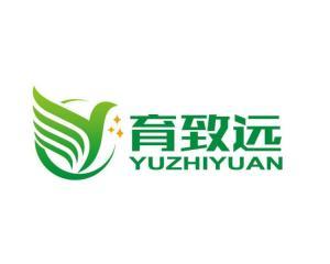 致远最新爆料消息,揭秘行业变革背后的秘密