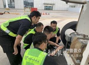 曲阜最新爆料新闻,千年古城惊现重大考古发现！