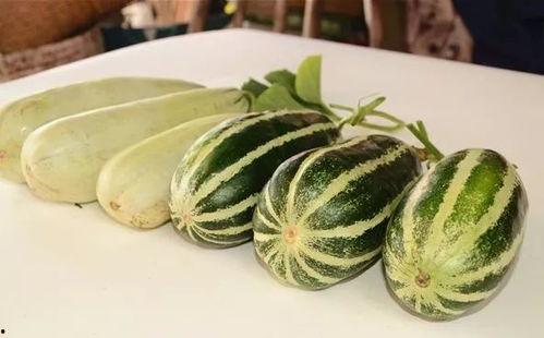 网红最新的瓜爆料外国,外国神秘事件大揭秘